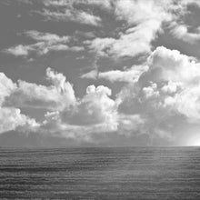 Load image into Gallery viewer, Dreaming in the Daylight