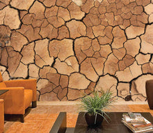 Load image into Gallery viewer, Earthly Cracks