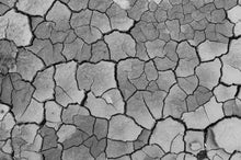 Load image into Gallery viewer, Earthly Cracks