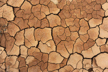 Load image into Gallery viewer, Earthly Cracks