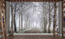 Load image into Gallery viewer, Along The Icy Path