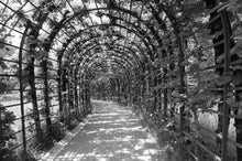 Load image into Gallery viewer, Linderhof Palace Garden
