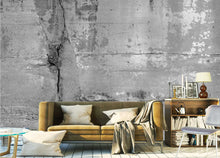 Load image into Gallery viewer, Concrete Attraction