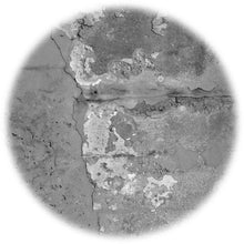 Load image into Gallery viewer, Concrete Attraction