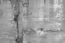 Load image into Gallery viewer, Concrete Attraction