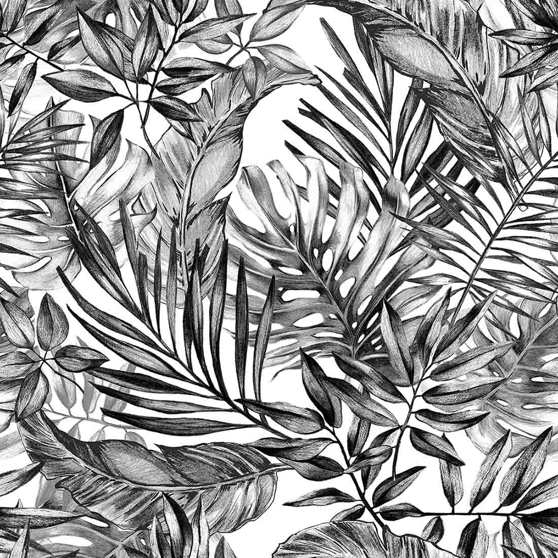 Tropical Plants (Black and White) – Mod Design Shop