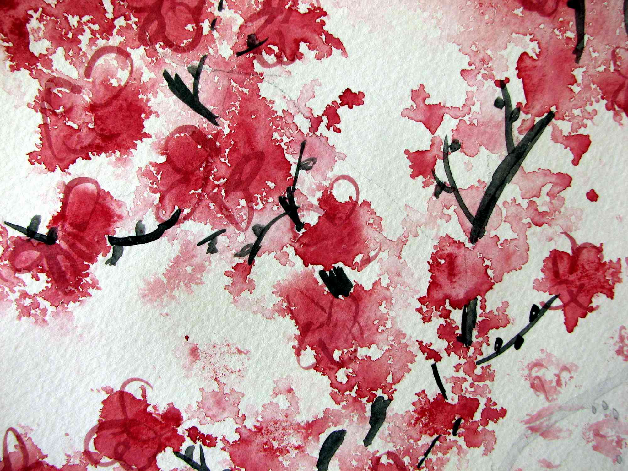 red cherry blossom background