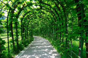 Linderhof Palace Garden