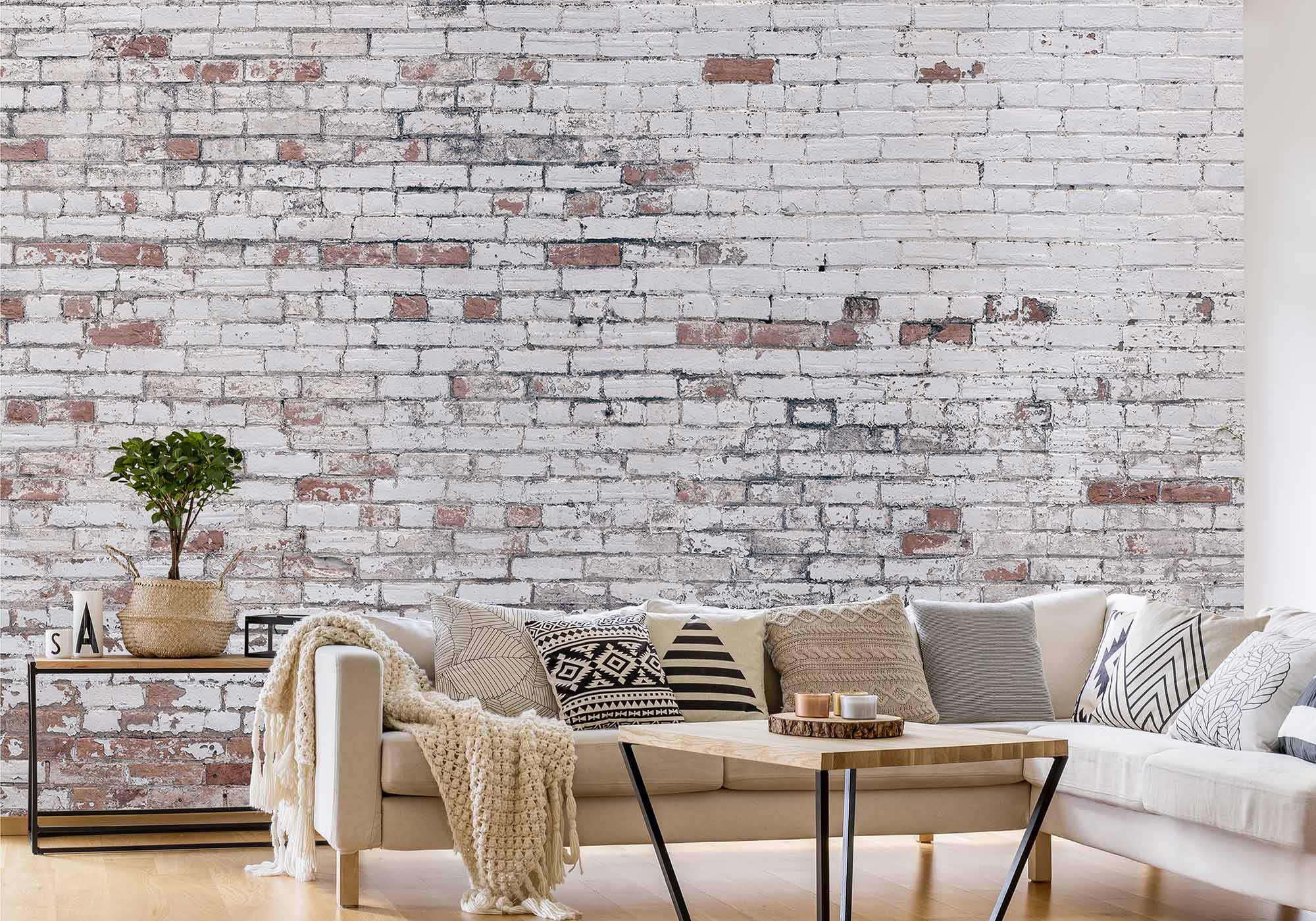 white brick wall room