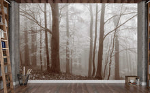 Load image into Gallery viewer, Secrets in the Forest